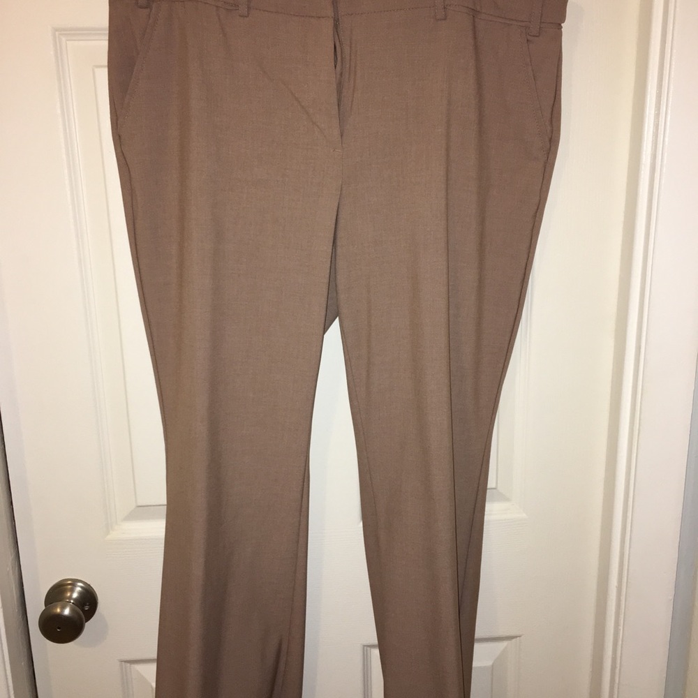 Dress pant bundle